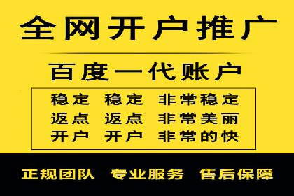 行业领先企业的SEM运营推广实战